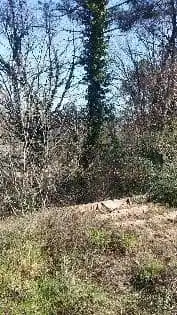 Rural land for sale in CL COLLSACABRA Nº 36, imagen 4
