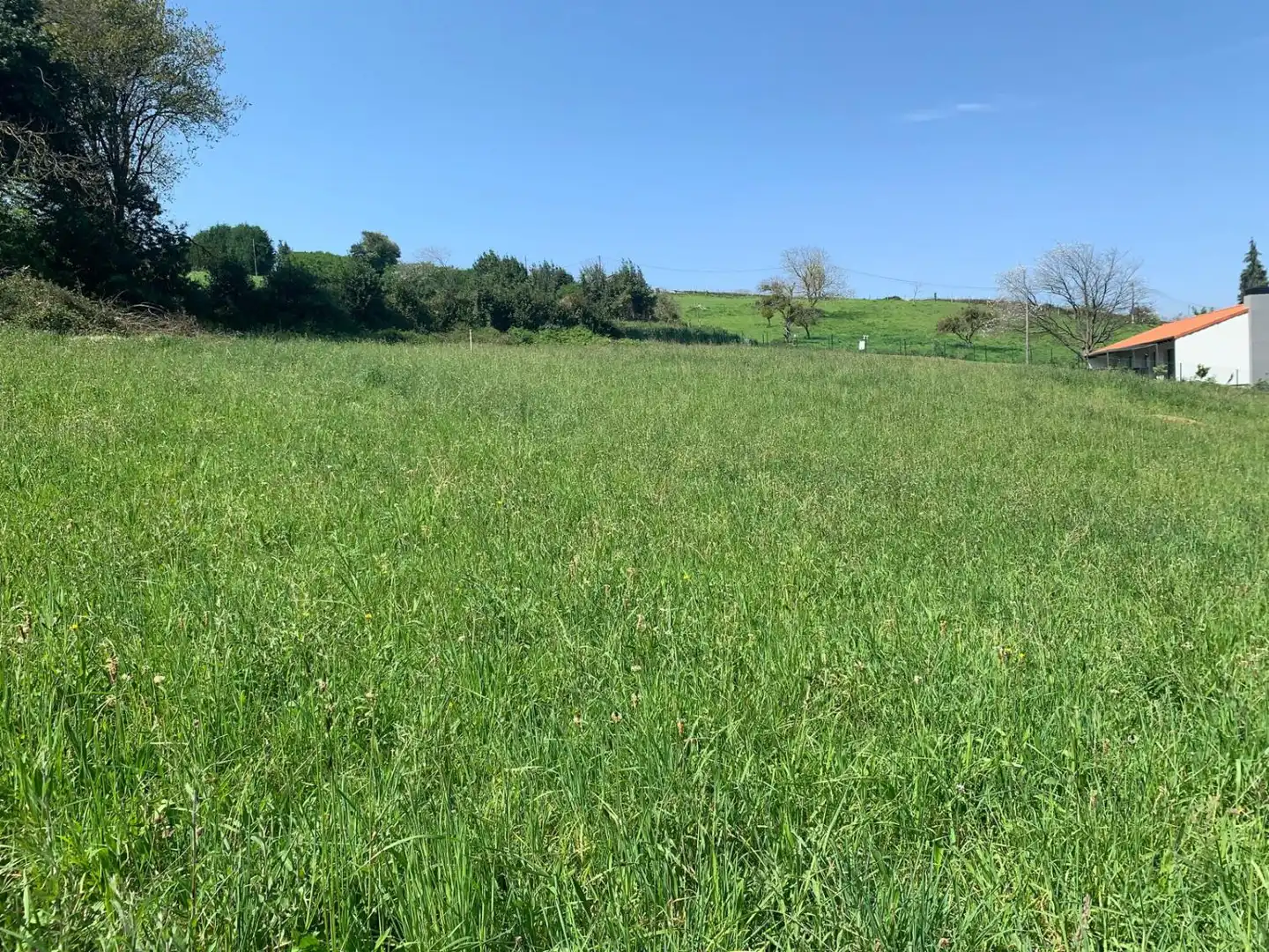 Terrenys i solars en venda a De Los Llanos