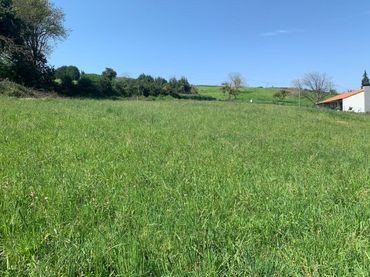 Grundstücke und Bauplätze zum Verkauf in De Los Llanos