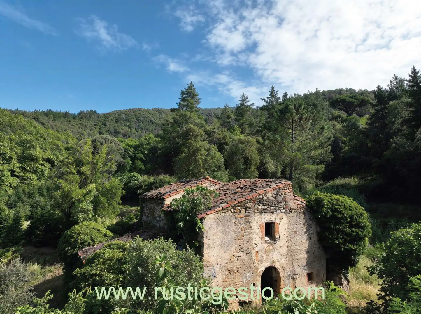 Vista exterior de Finca rústica en venta en Osor con Jardín privado