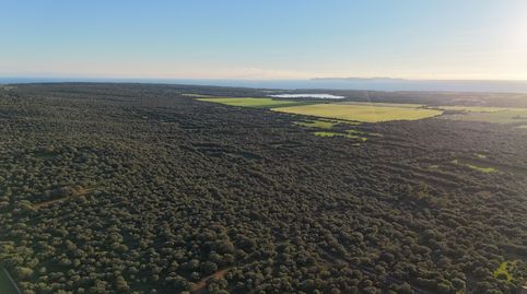 Foto 2 de Residencial en venta en Ses Salines Poble, Ses Salines