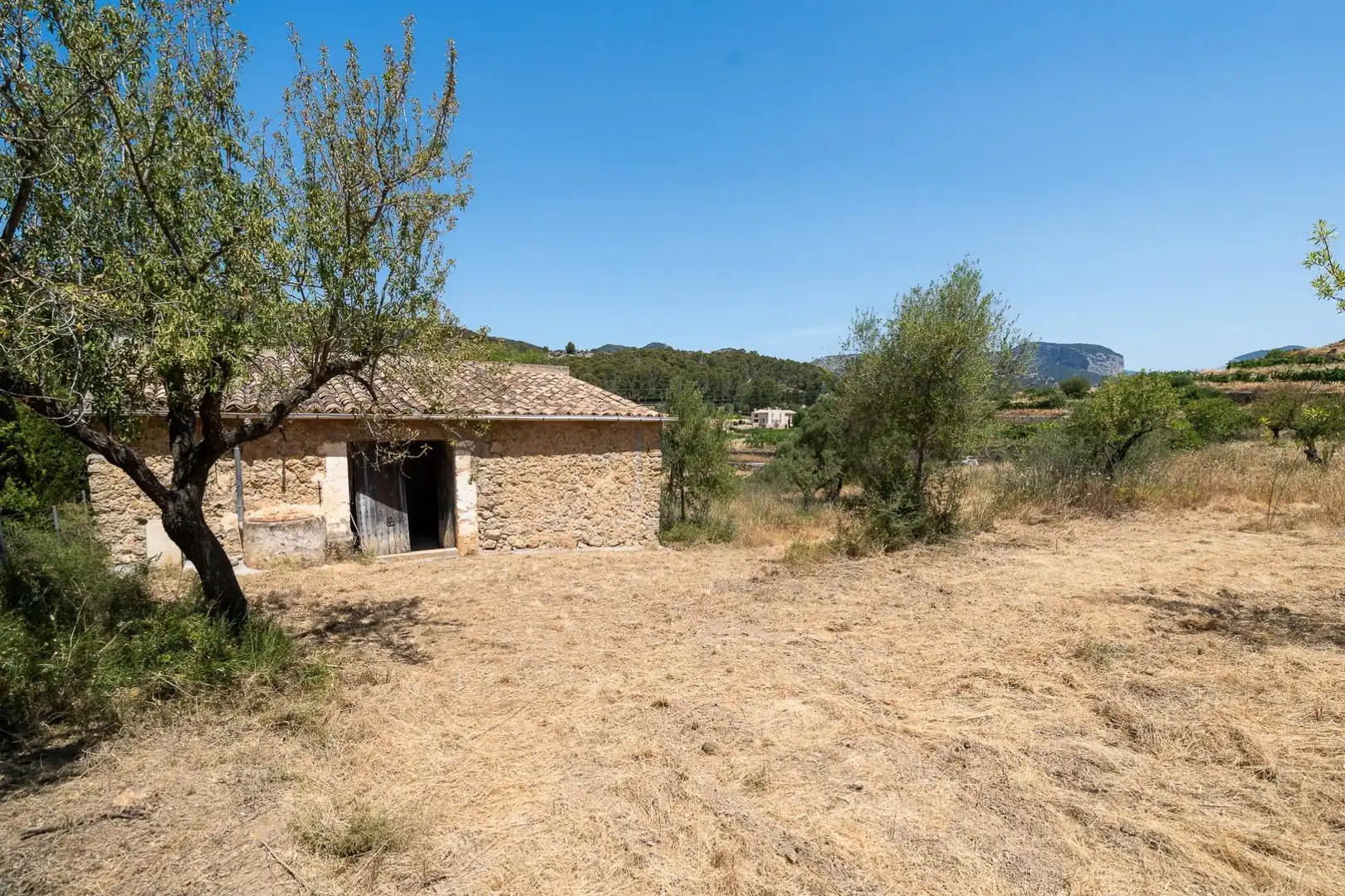 Casa o chalet en venta en Alaró con Jardín privado