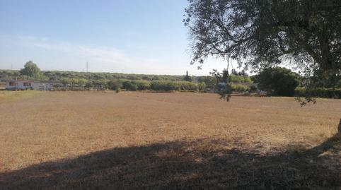 Photo 3 of Country house for sale in Las Canteras, Cádiz