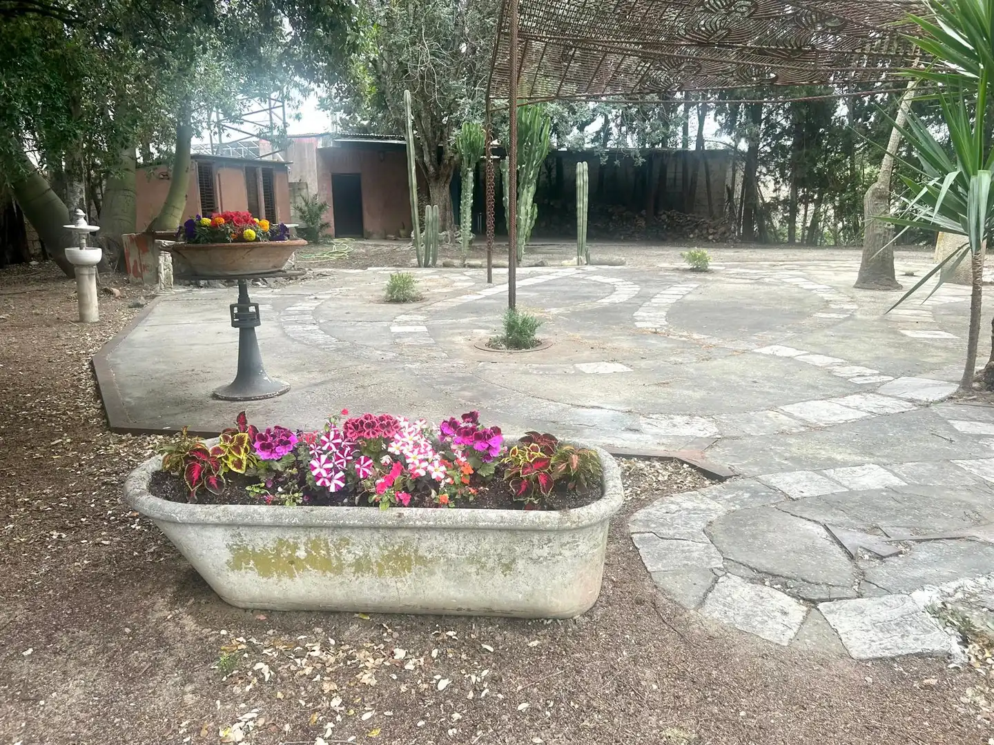 Country homes for sale in Caballero Bonald - San José Obrero - Guadalcacín