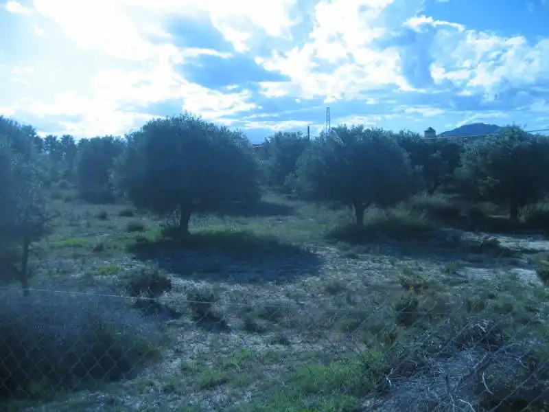 Grundstücke und Bauplätze zum Verkauf in Huércal-Overa, imagen 16