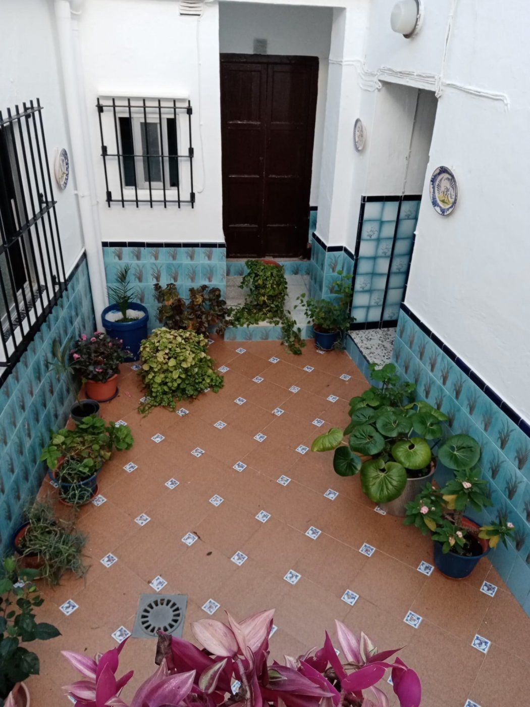 Garden of House or chalet for sale in Medina Sidonia  with Storage room and Balcony