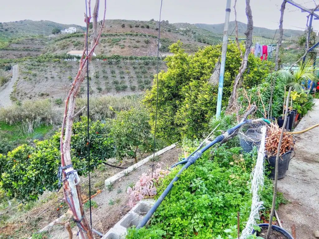 Finca rústica en venta en Vélez-Málaga con Jardín privado