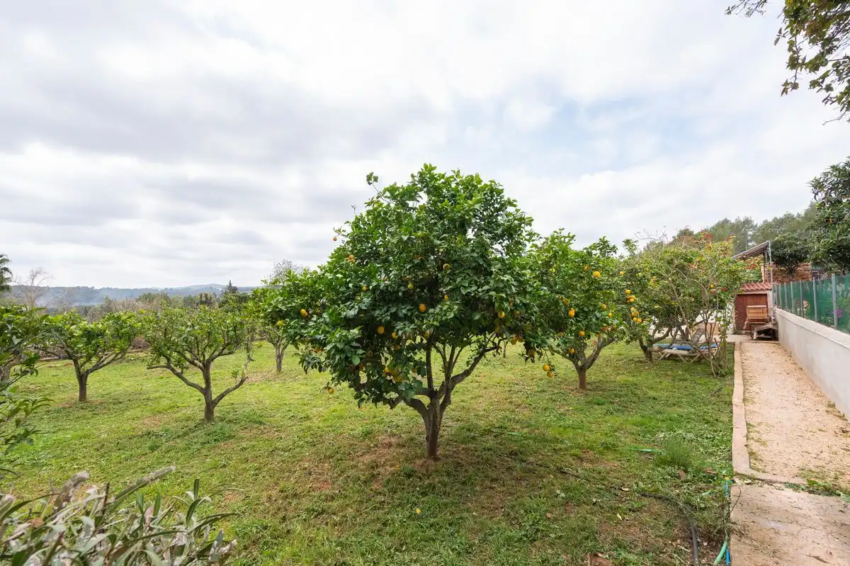 Maison avec jardin à vendre à Diseminado P 26 Sta Gertrudis, imagen 2