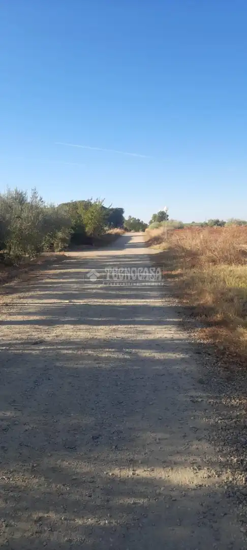 Finca rústica en venta en Aznalcázar