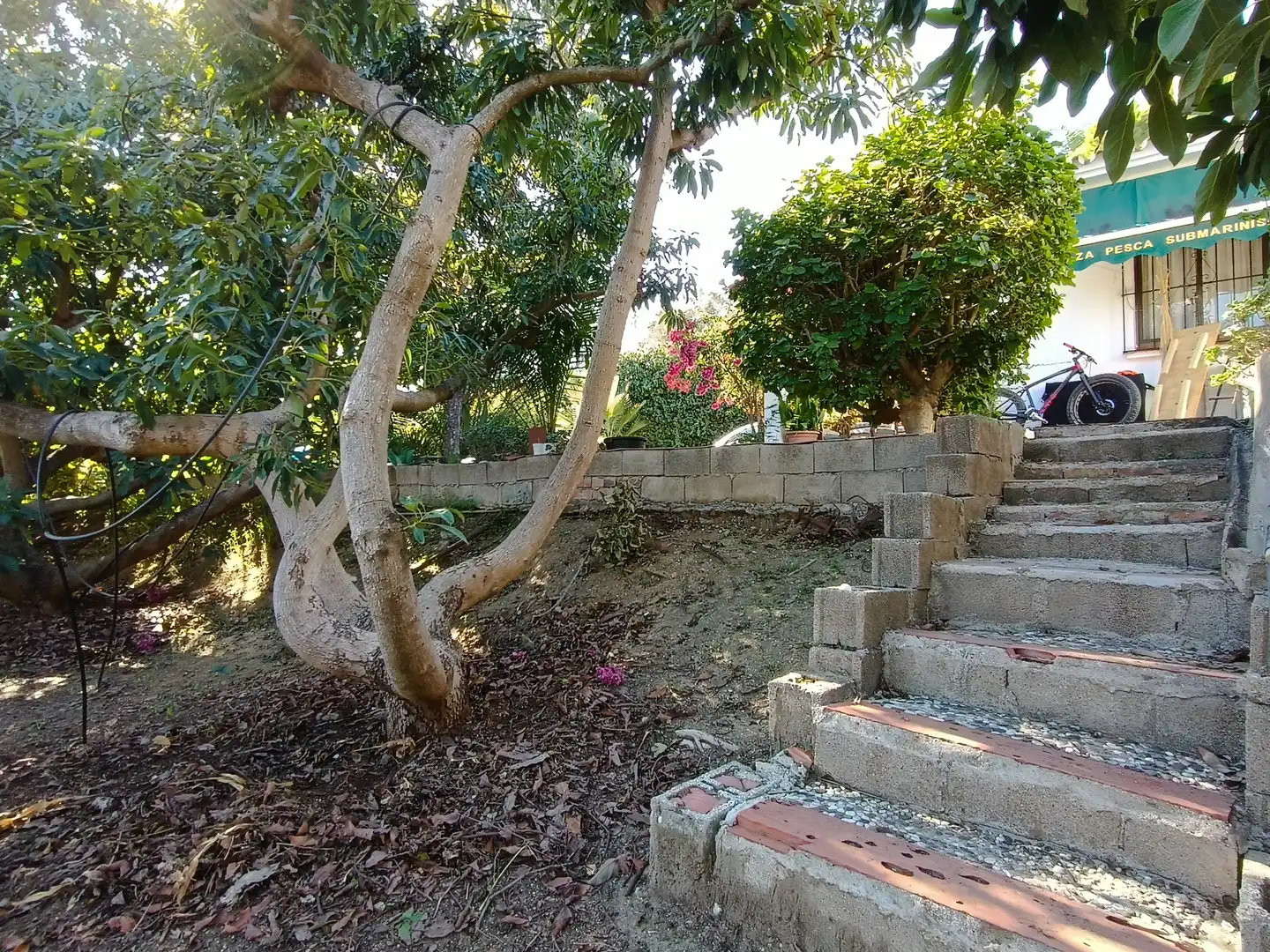 Jardín de Finca rústica en venta en Estepona con Jardín privado, Terraza y Amueblado