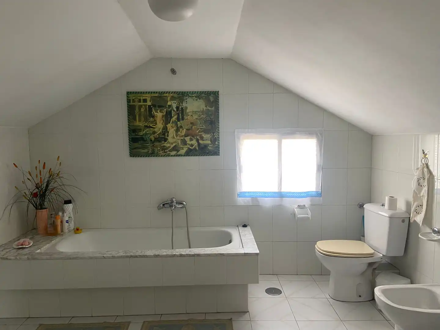 Bany de Casa o xalet en venda en Ferrol amb Jardí privat