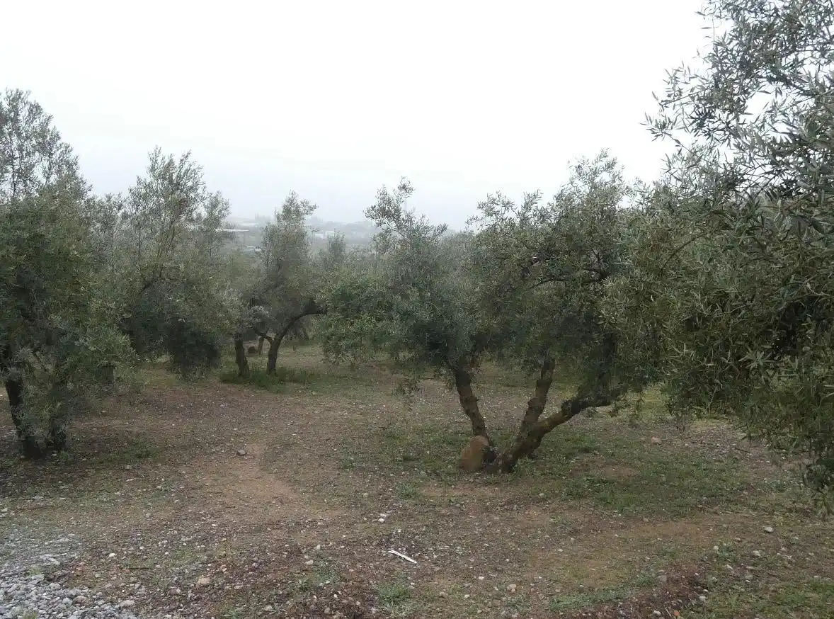 Terreni e lotti in vendita a Peligros, imagen 3