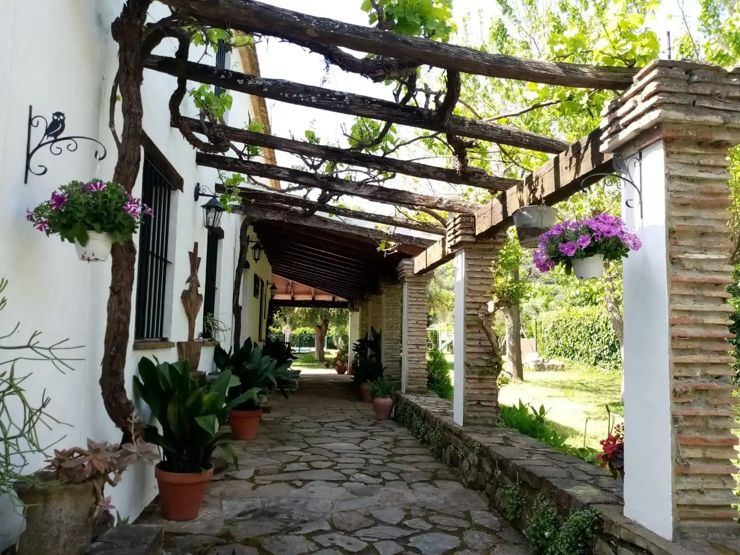 Casa con piscina in vendita a Jimena de la Frontera, imagen 25