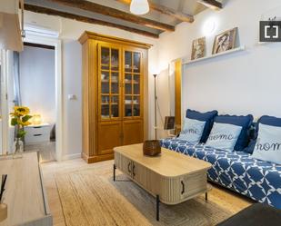 Living room of Flat to rent in  Madrid Capital  with Air Conditioner, Heating and Furnished