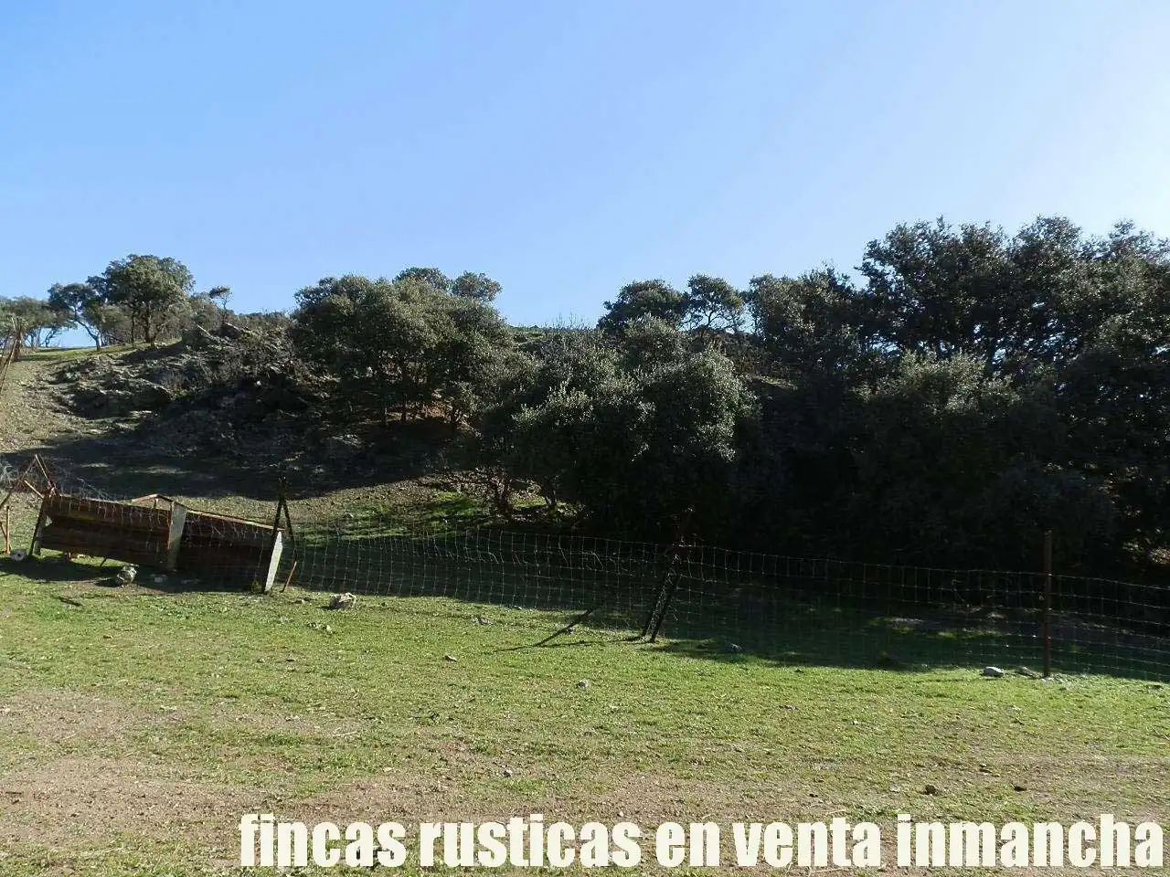 Terreno en venta en Almuradiel