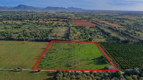 Foto 5 de Residencial en venta en Búger, Illes Balears