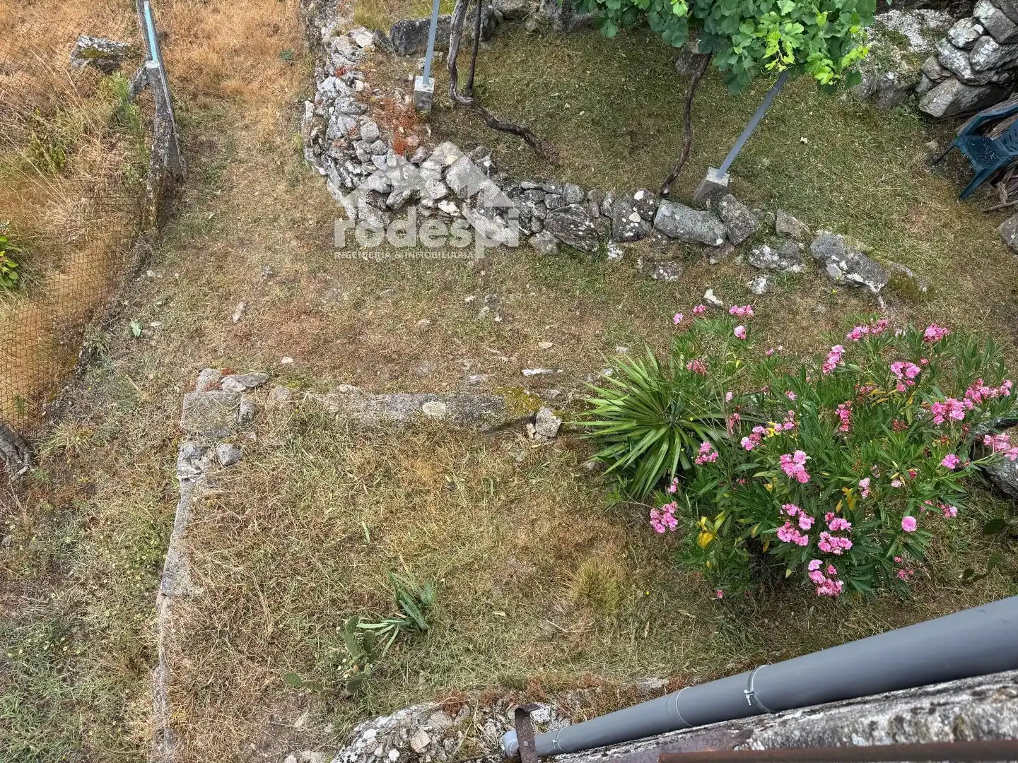 Houses for sale in Melón