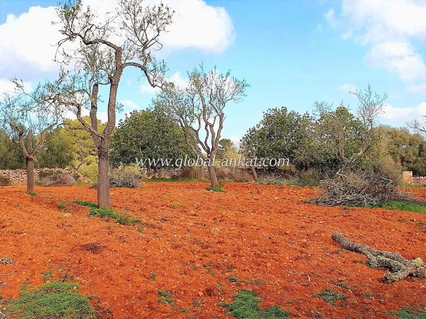 Maison rustique à vendre à Campos poble, imagen 17