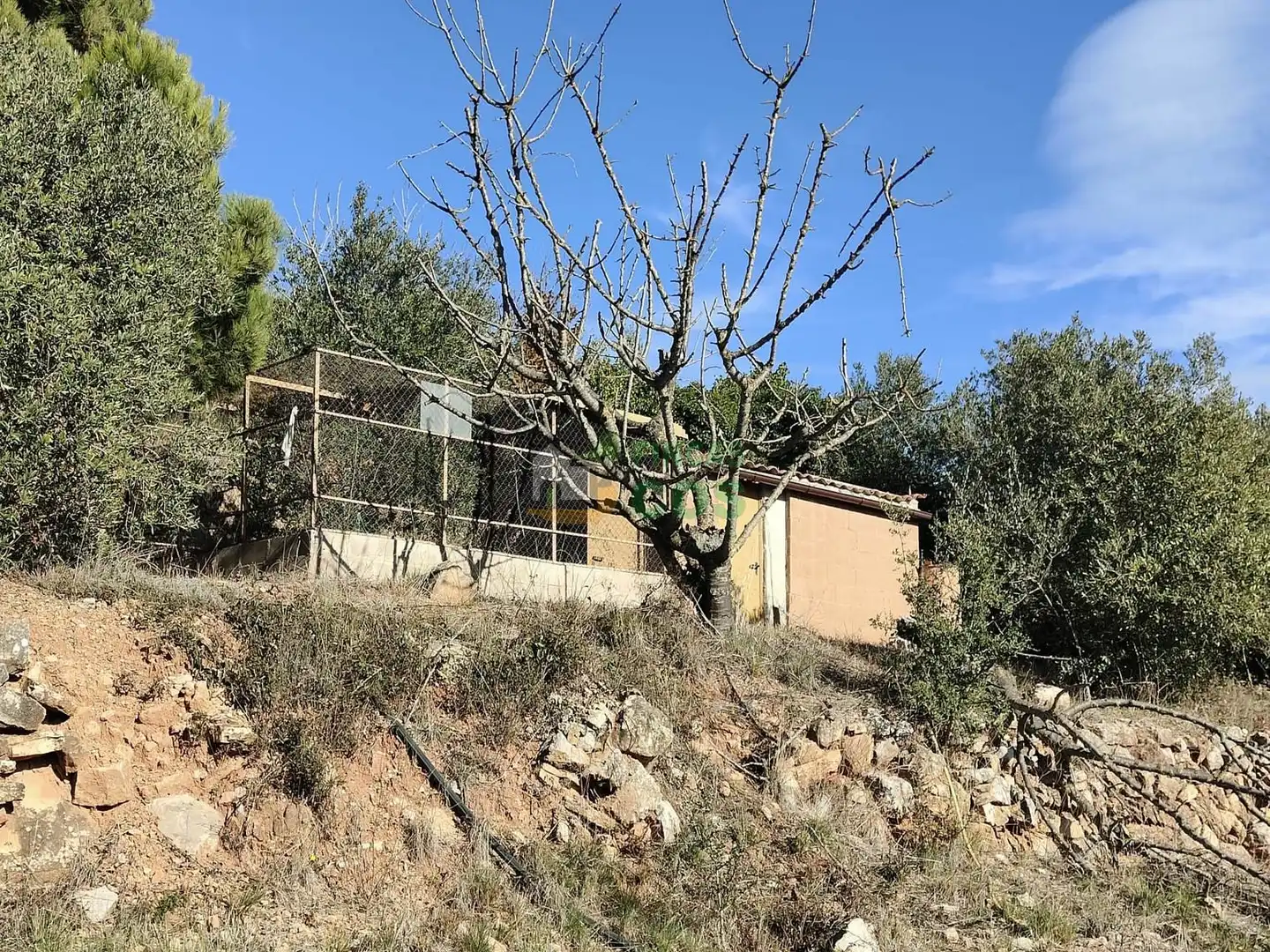 Land for sale in Pradell de la Teixeta