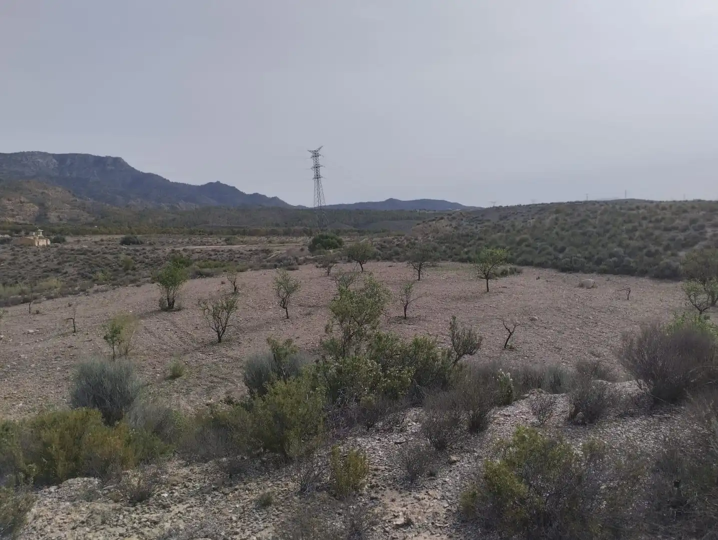 Terreno rustico in vendita a Pedanías Centro, imagen 7