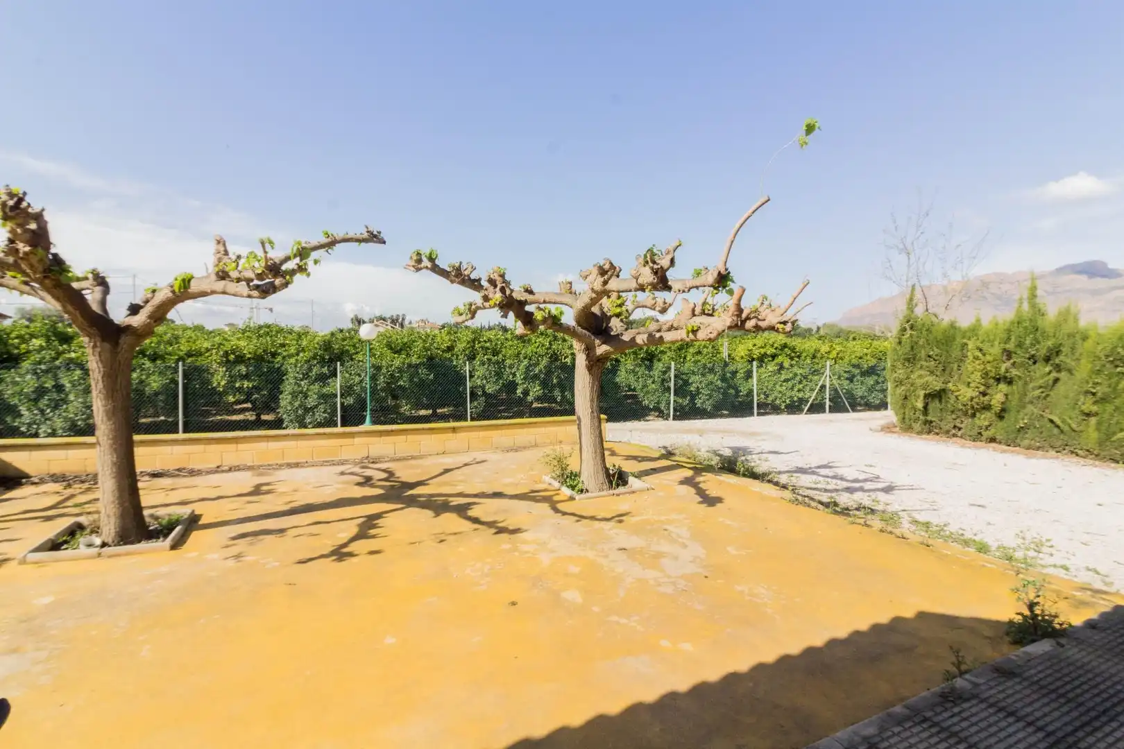 Garden of Houses for sale in Orihuela  with Air Conditioner and Terrace