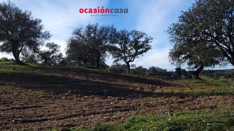 FINCA RÚSTICA EN PEDROCHE, imagen 4