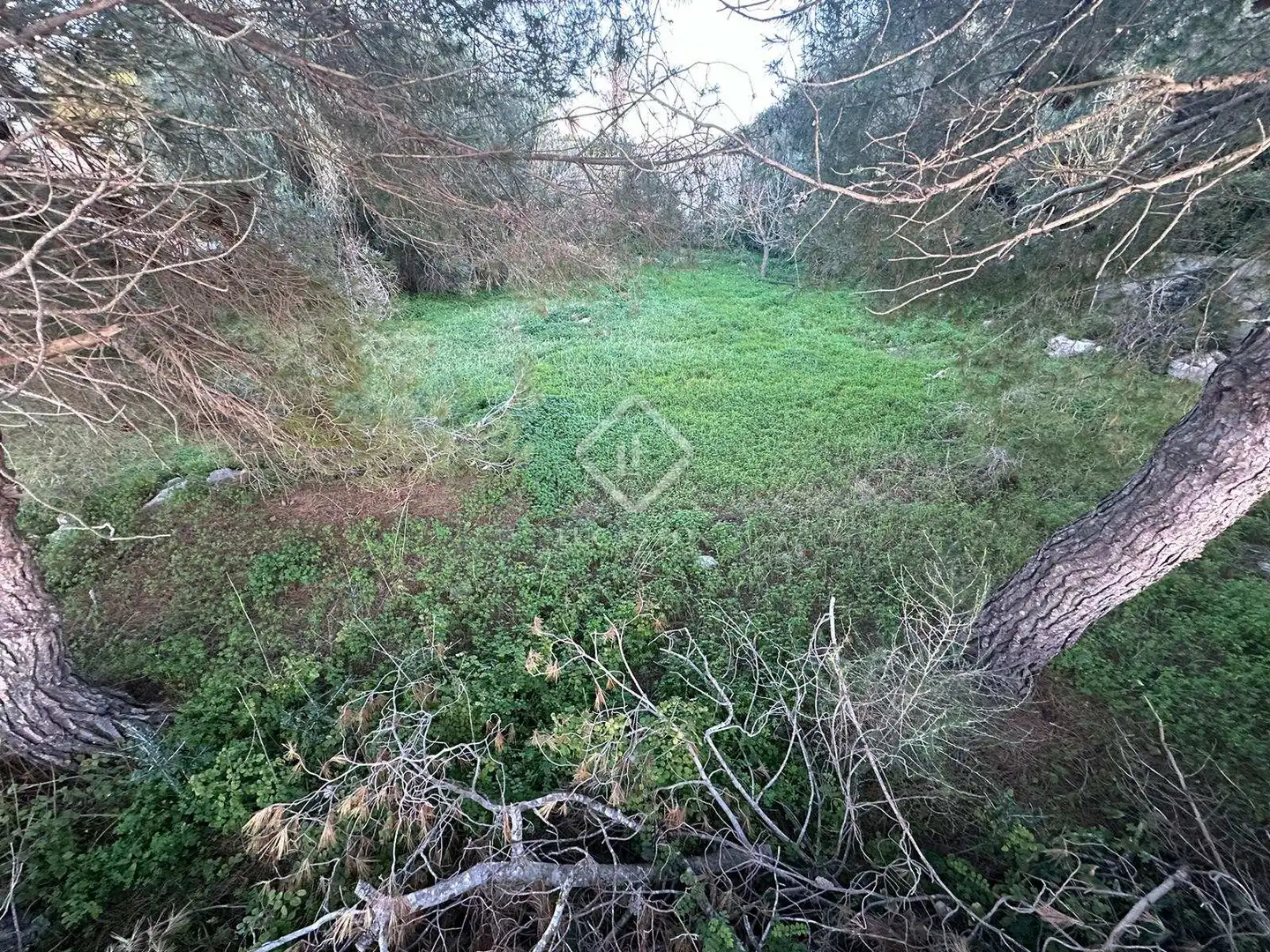Terreno rustico in vendita a Cala en Porter, imagen 7