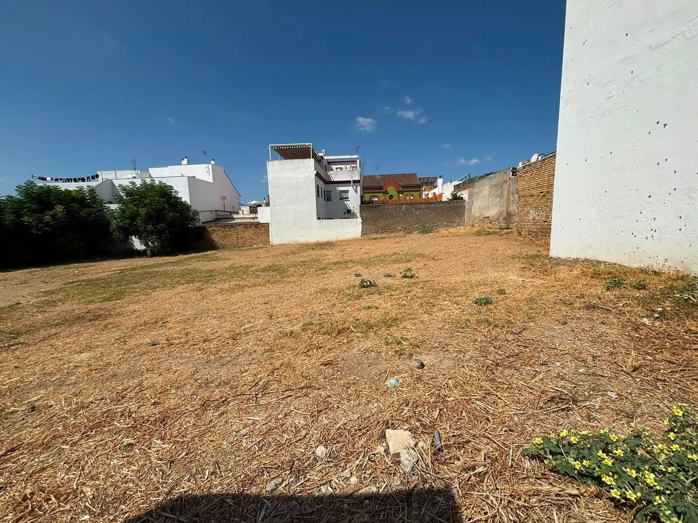 Terrain résidentiel à vendre à Centro, imagen 5