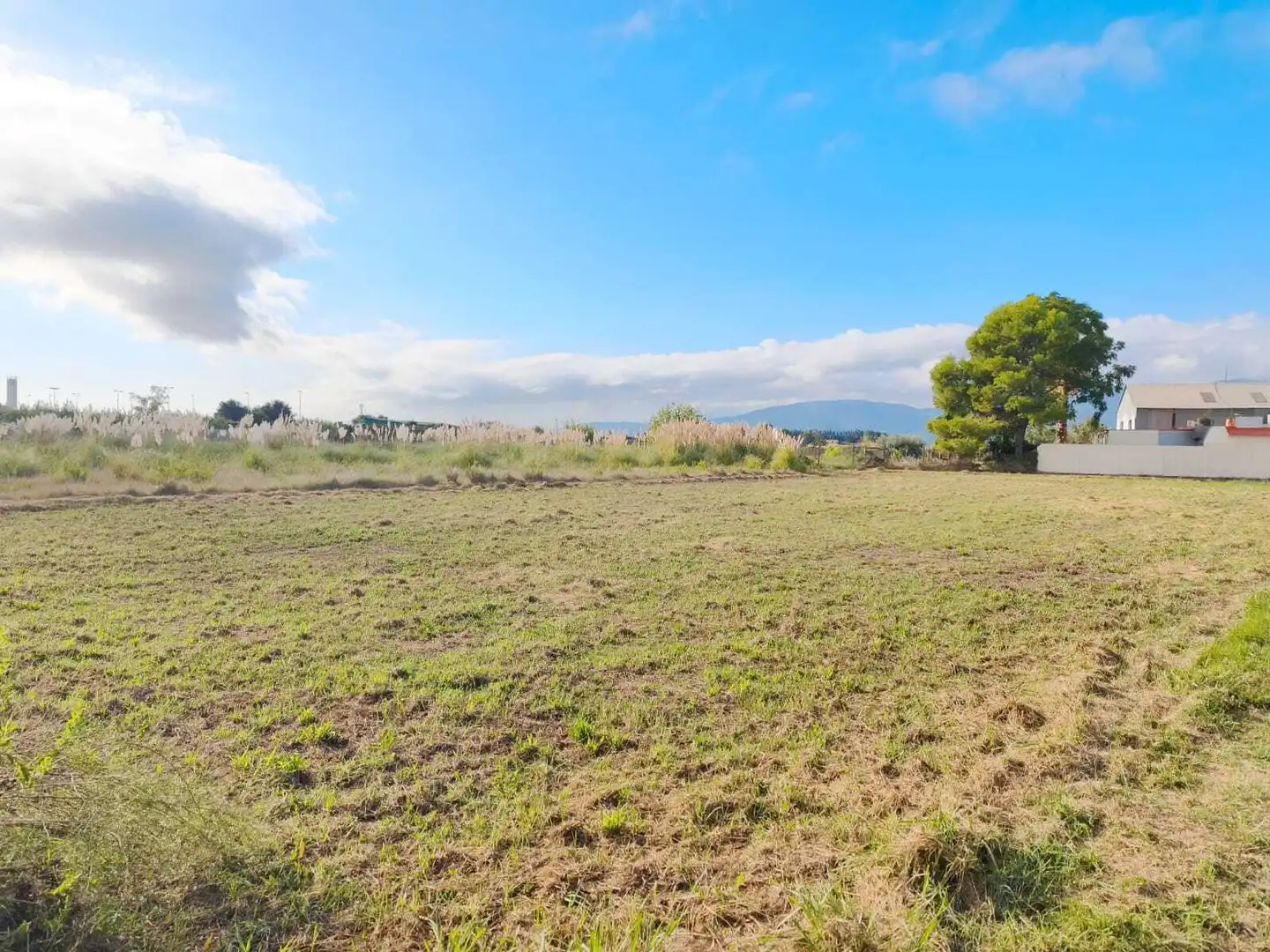 Terrenos y solares en venta en Bulevar del Xúquer, imagen 10