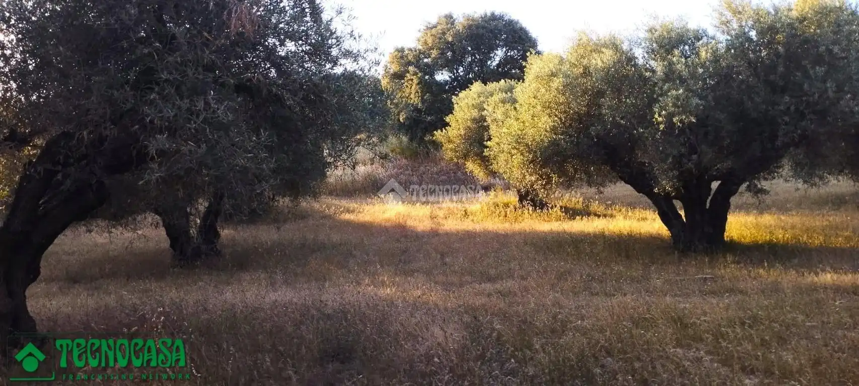 Terreni e lotti in vendita a Méntrida, imagen 10