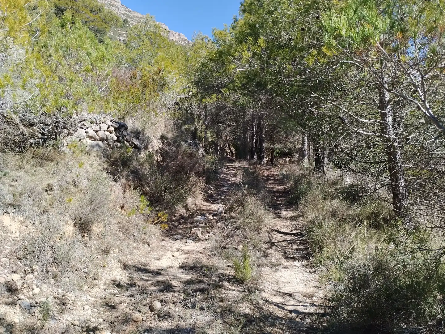 Terreno en venta en La Morera de Montsant