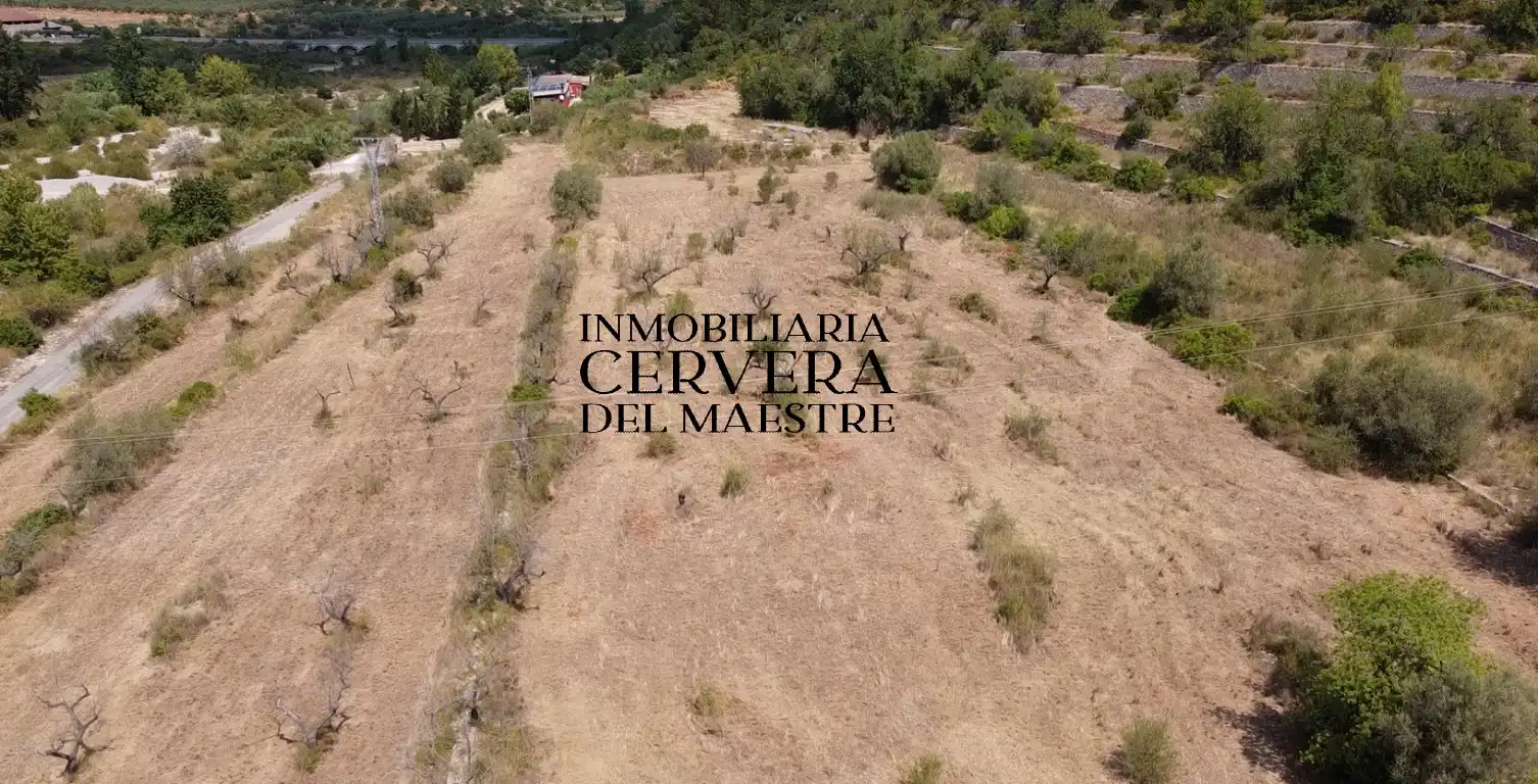 Terreno rustico in vendita a Cervera del Maestre, imagen 5