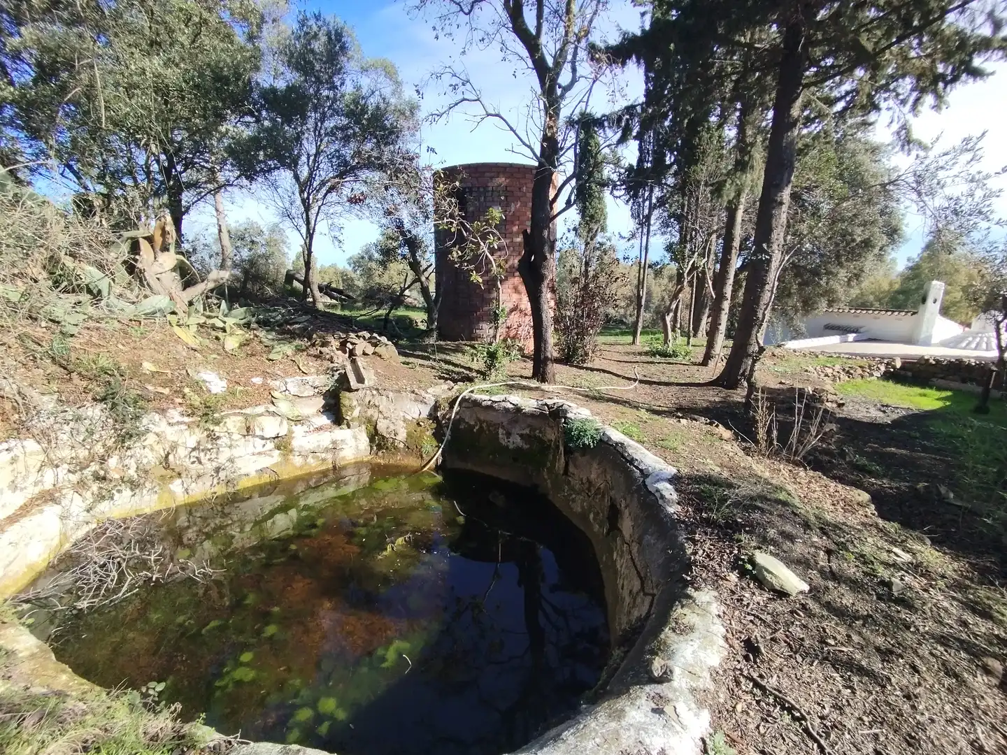 Jardín de Finca rústica en venta en Valverde de Mérida con Trastero, Piscina y Piscina comunitaria