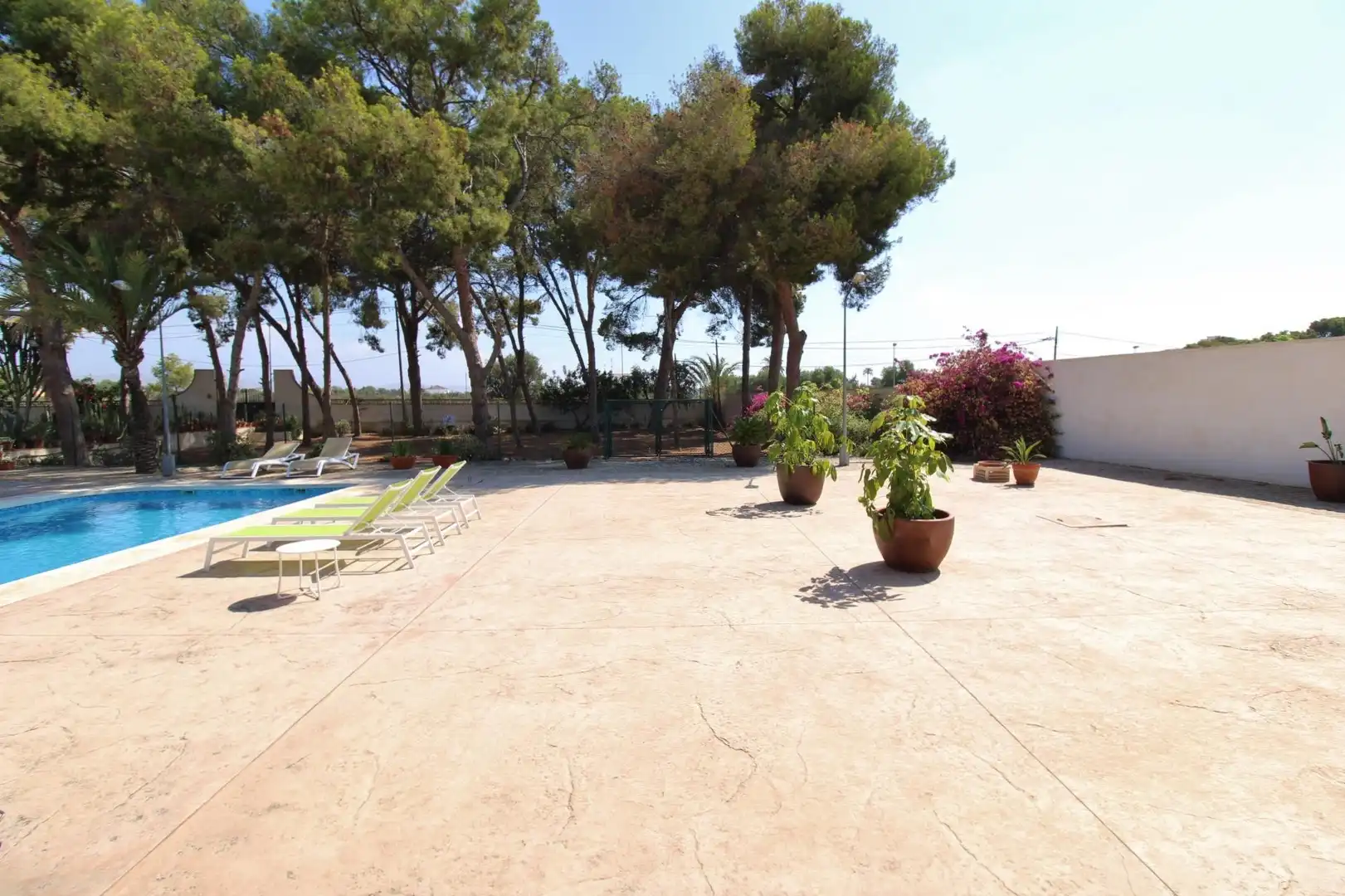 Garden of Houses for rent in Sant Joan d'Alacant  with Private garden, Terrace and Swimming Pool