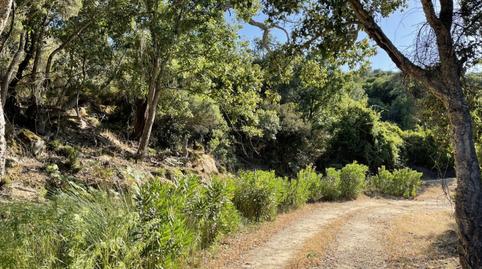 Foto 4 de Finca rústica en venda a Castellar de la Frontera, Cádiz