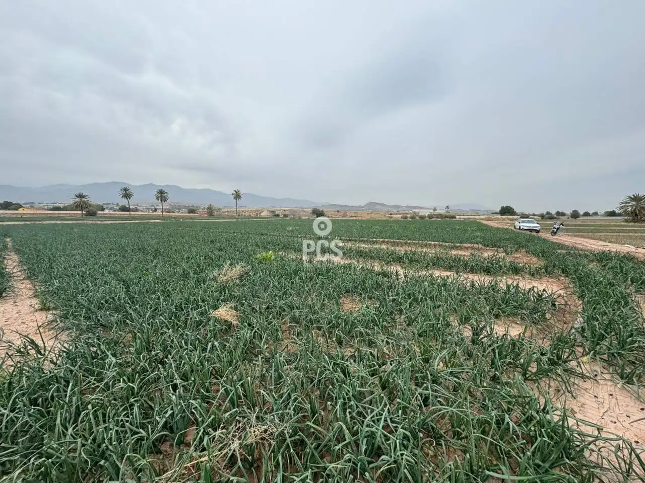 Terreny rústic en venda a Camino Huertos Nuevos Zona Ñorica S/N, imagen 4