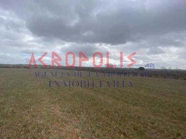 Terreno residenziale in vendita a Calle Poligono 124 Valdefuente