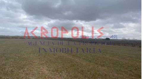 FINCA RUSTICA EN CHOZAS DE ABAJO