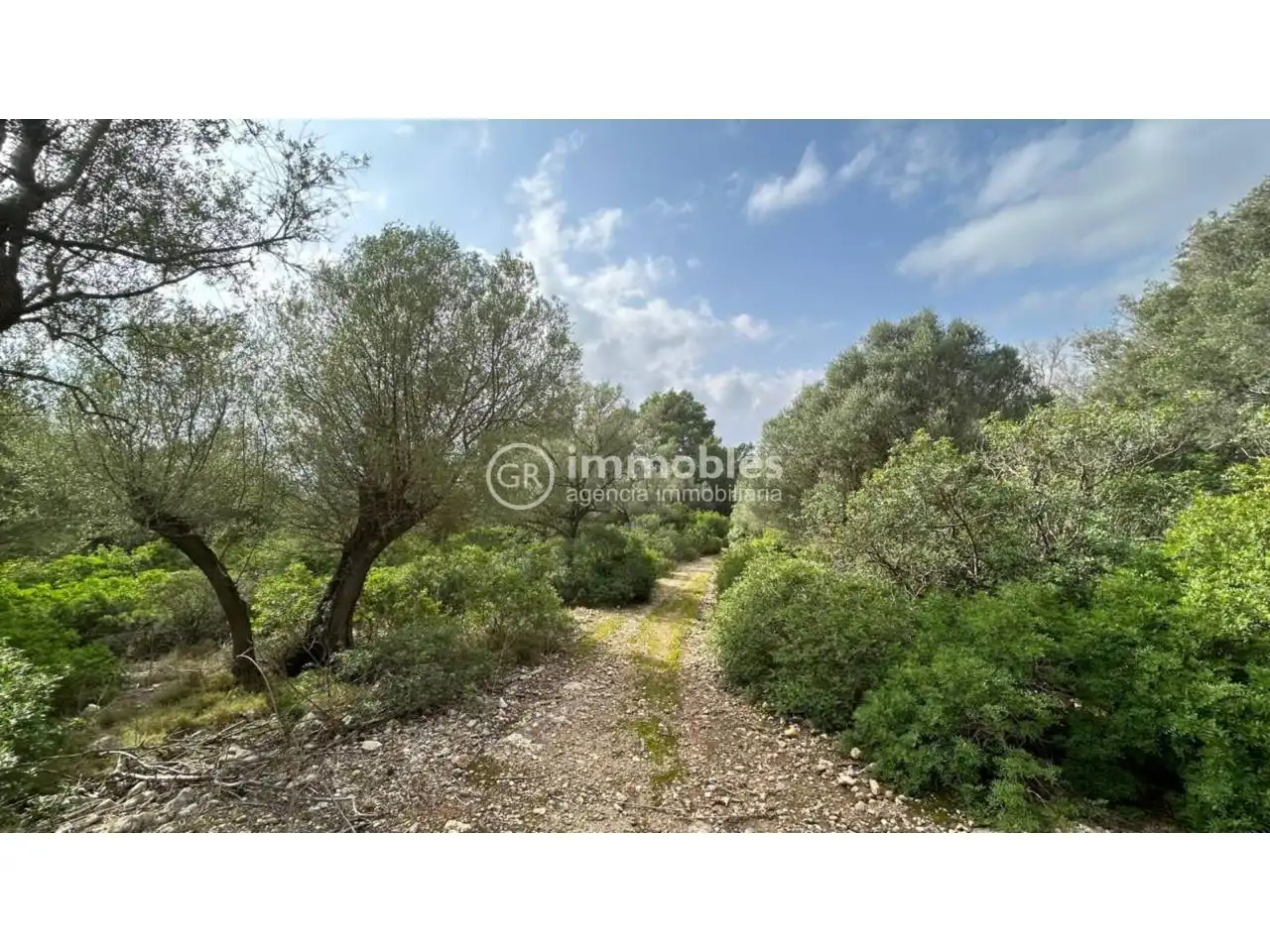 Residential for sale in Ciutat d'Alcúdia
