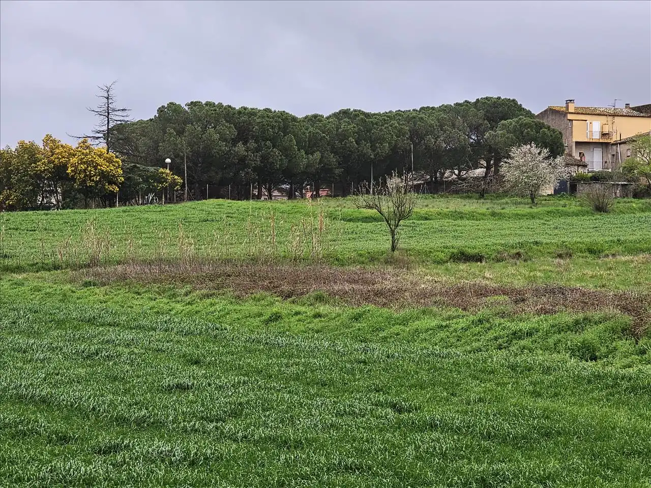 Terreny residencial en venda a El Quinta De La Casa Nova ( Cl Panedes), imagen 5