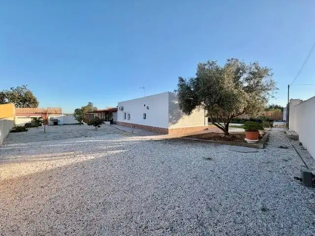 Exterior view of Houses for sale in San Vicente del Raspeig / Sant Vicent del Raspeig  with Swimming Pool