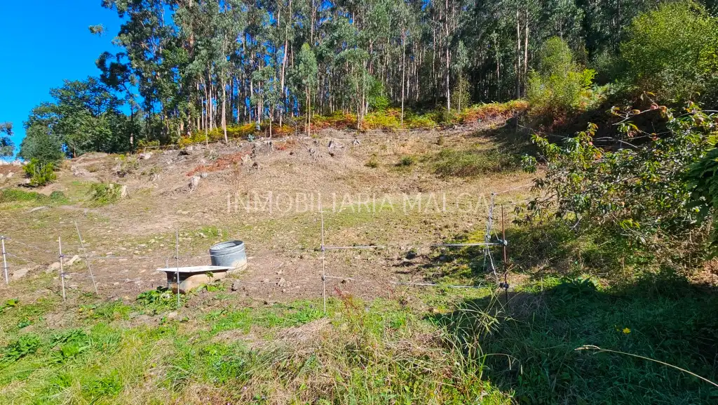 Terrain résidentiel à vendre à Lugar Berbes 111, imagen 4