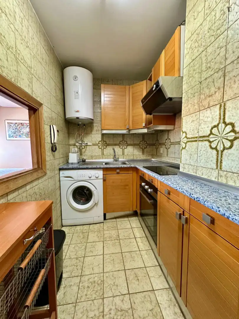 Cuina de Apartament de lloguer en Madrid amb Calefacció, Moblat i Forn