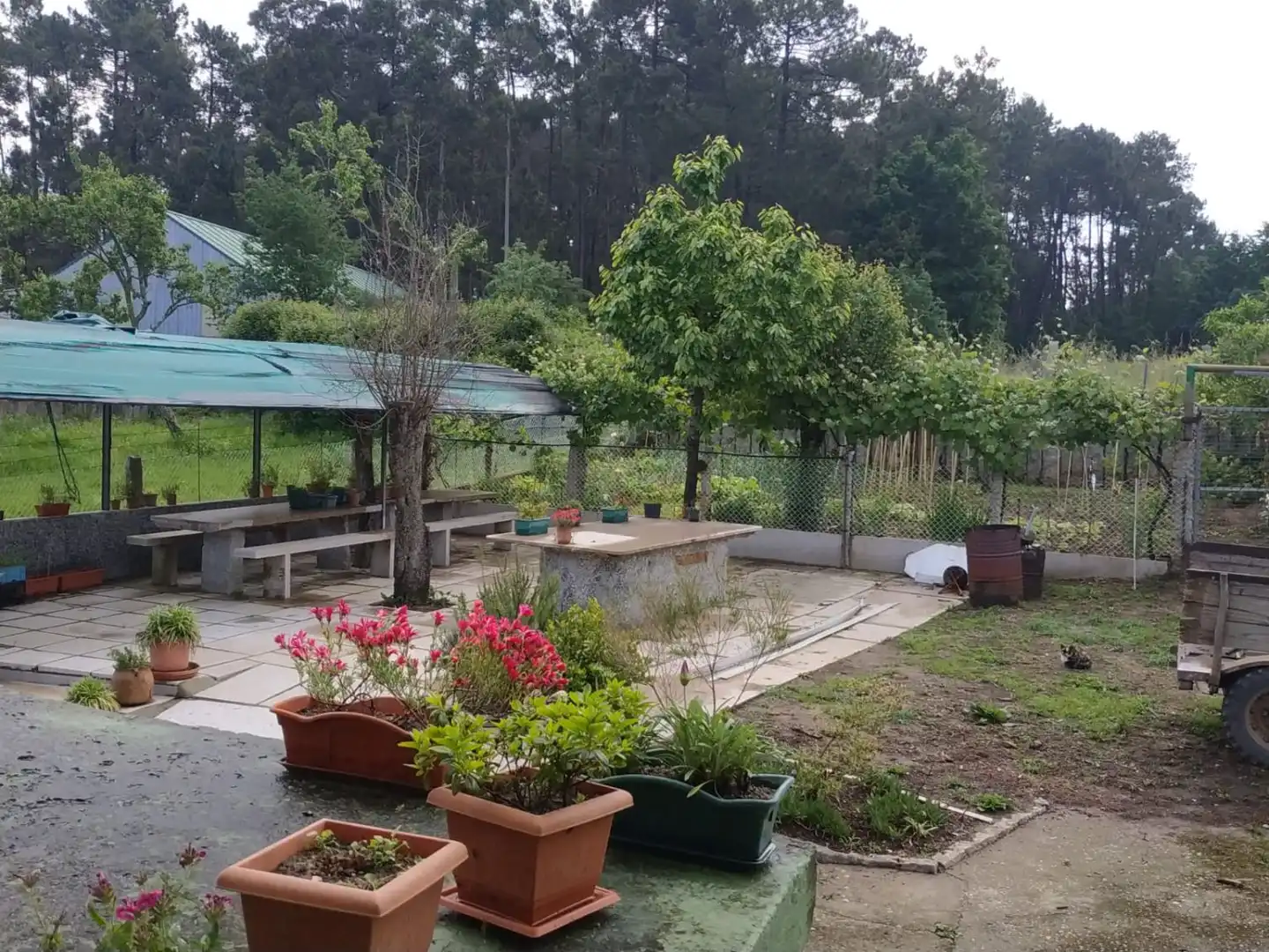 Terrassa de Casa o xalet de lloguer en Salvaterra de Miño