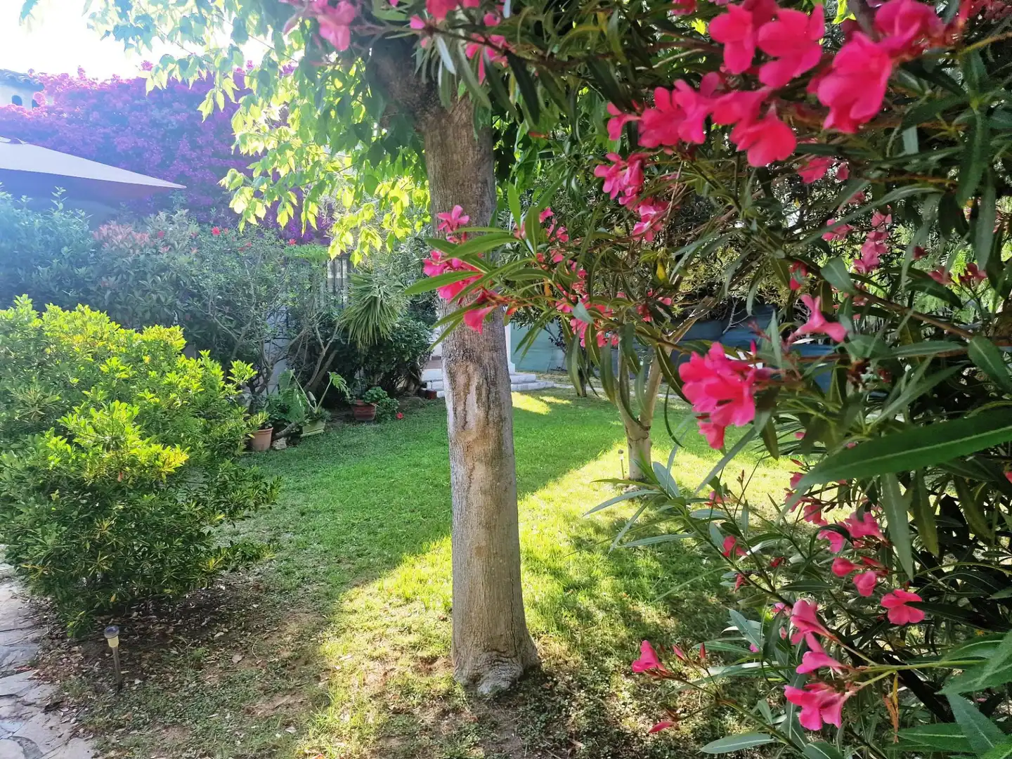Houses for sale in Carrer Osca, Mar Cambrils