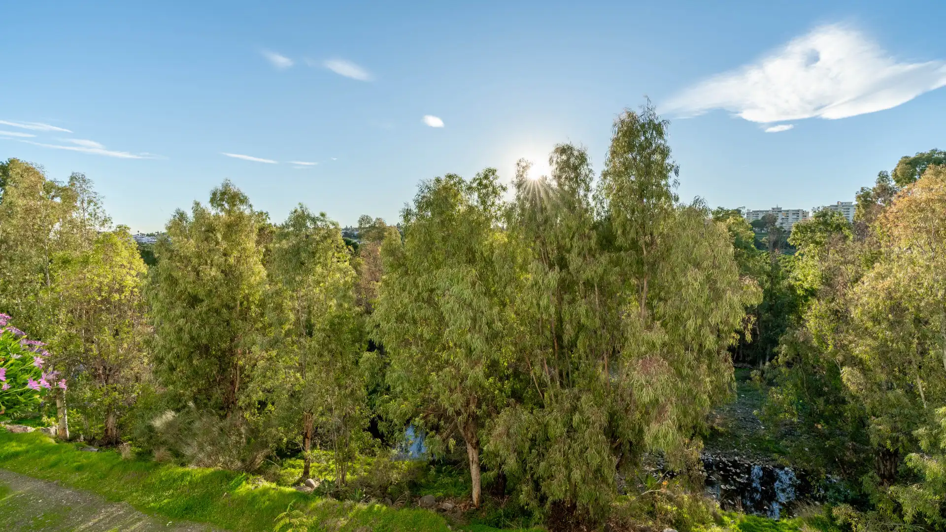 Exterior view of Apartments for sale in Marbella  with Air Conditioner, Terrace and Swimming Pool
