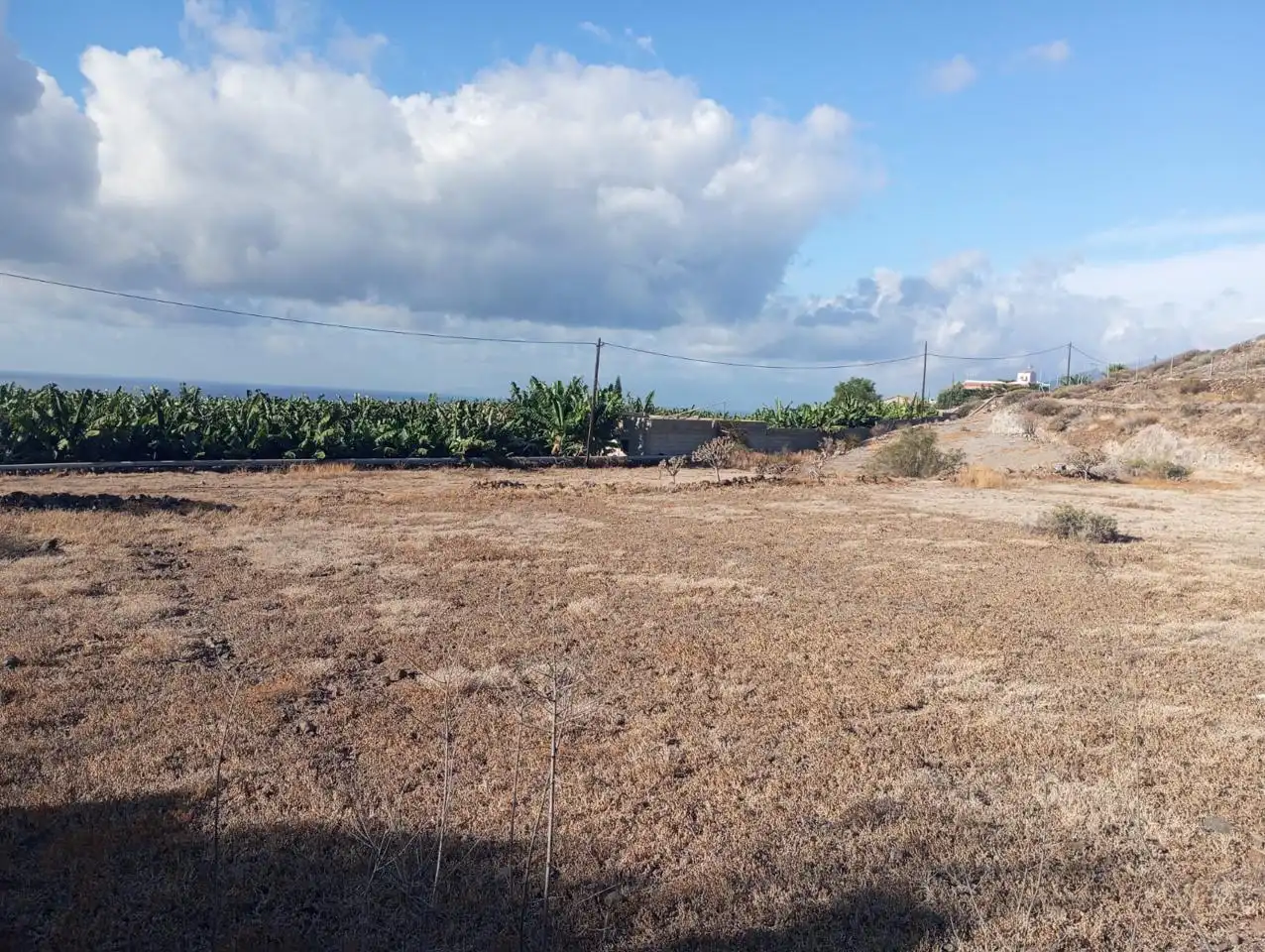 Rural land for sale in Alcalá, imagen 8