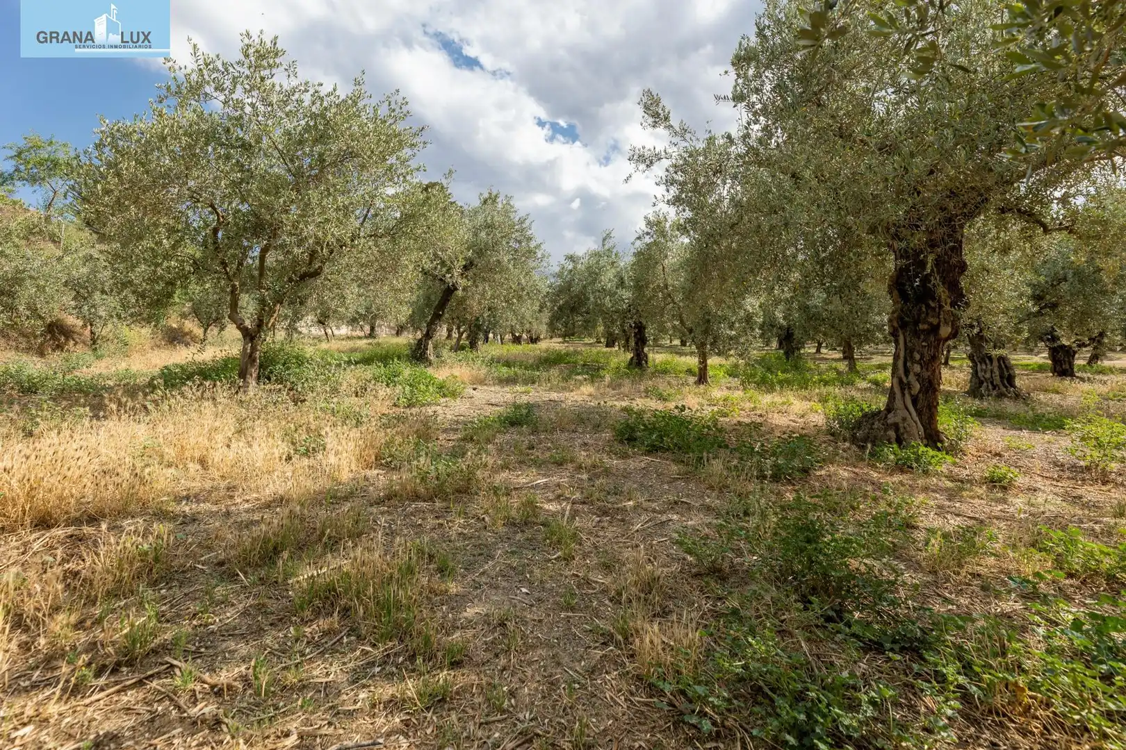 Terreno rustico in vendita a Calle POL 1, PARC 176, imagen 18