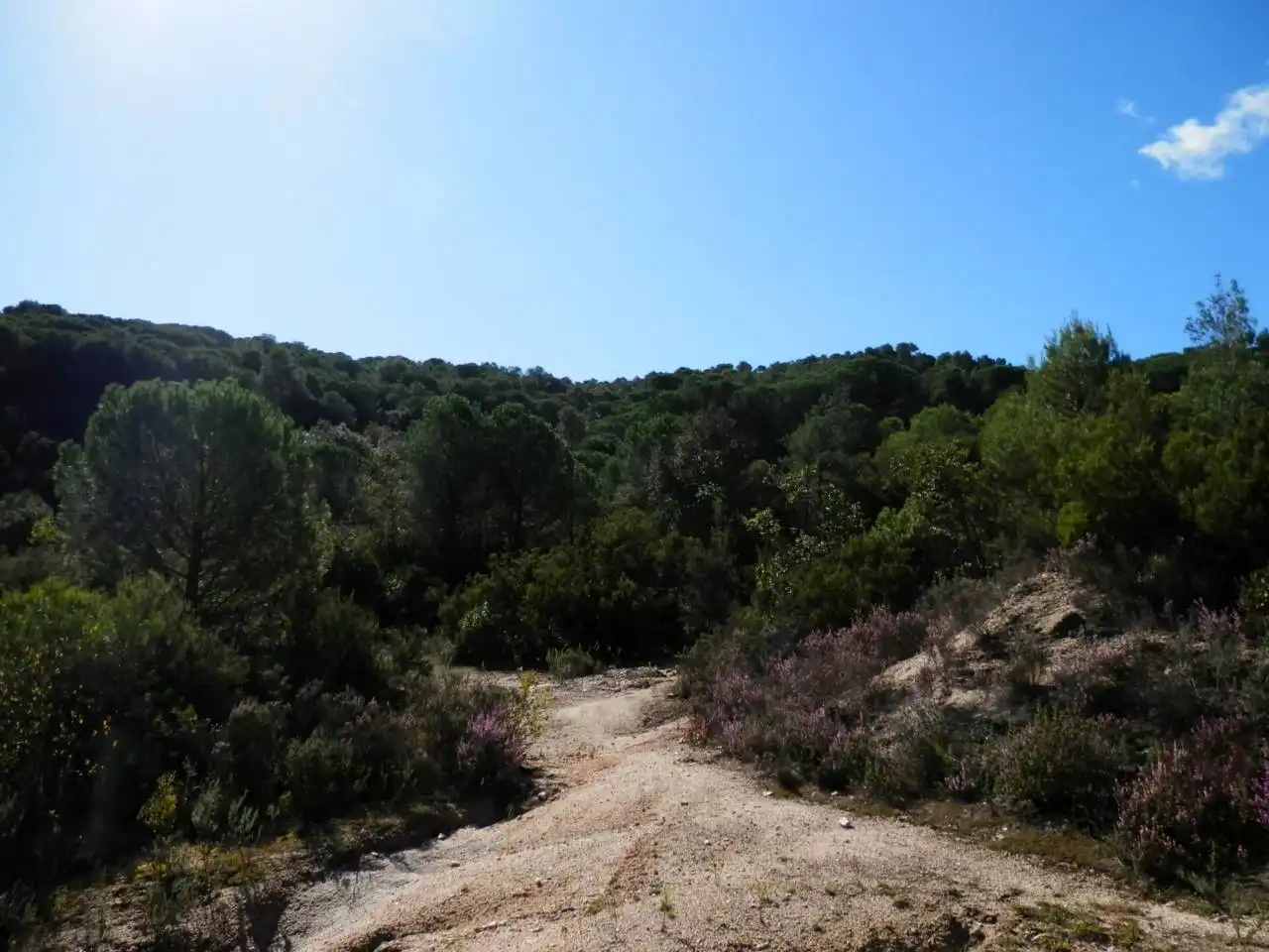 Land for sale in Vilanova del Vallès