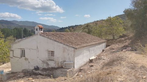 Parcela con servicios urbanos., imagen 2